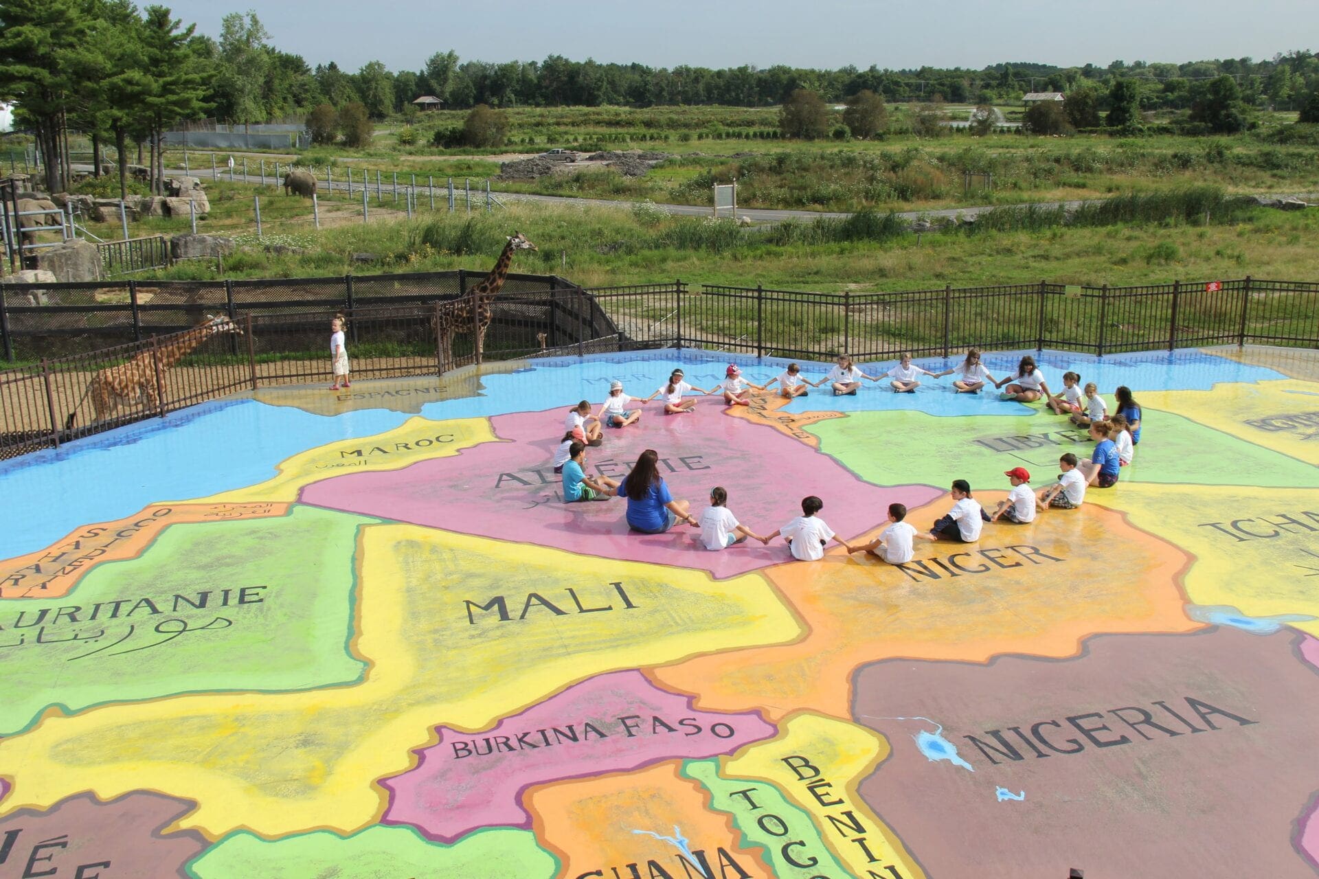 Terrasse Afrika | Cougars